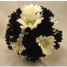 Black & White Gerbera Posy Bouquet