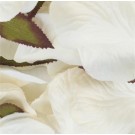 1000 Ivory Silk Rose Petals