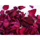 Cerise Pink Real Rose Petals