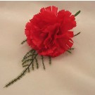 Red Carnation Fern Buttonhole