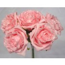 5 Luxury Open Pink Roses
