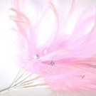 Pink Diamante Feathers